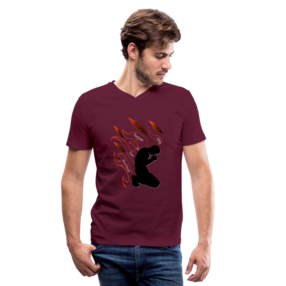 DMP - V-Neck - maroon